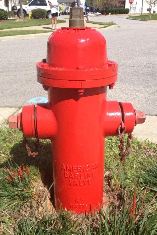 One of the fire hydrants painted as part of my own Eagle Scout Project.