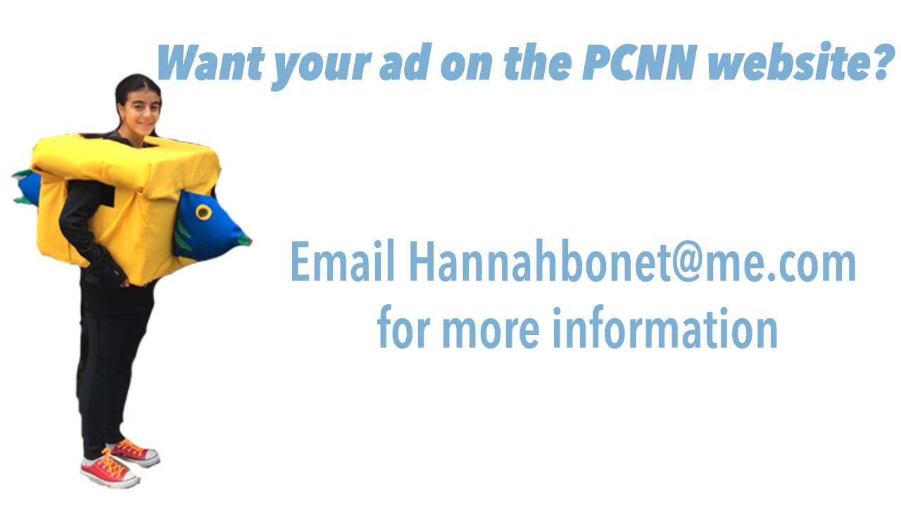 Advertisement